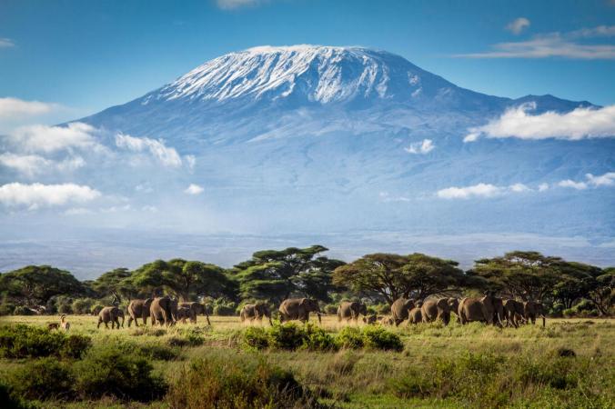 01 Kilimanjaro (Tanzania).