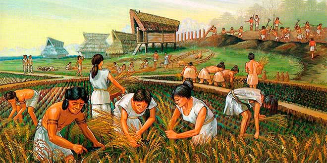 agricultura-neolitico